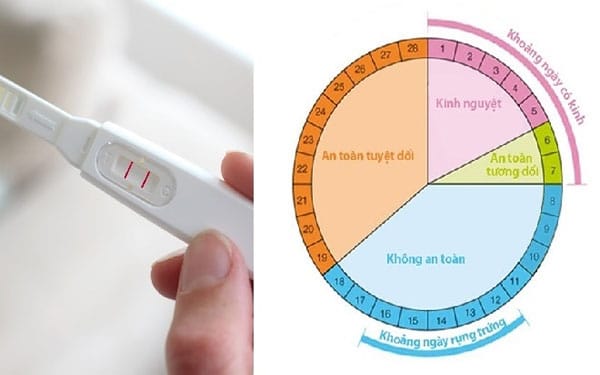 Cách tính sinh con trai năm 2021 - thời điểm rụng trứng